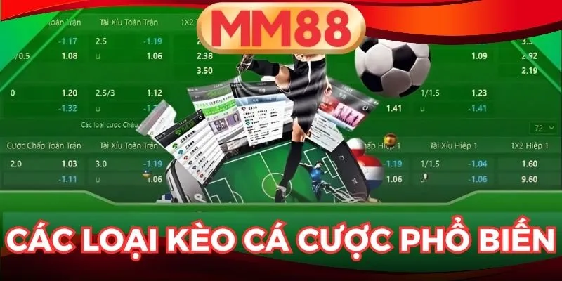 cá cược bóng đá hôm nay